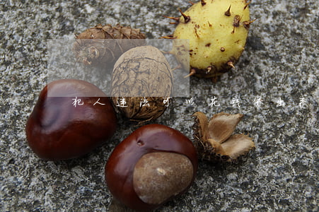 犯人违法可以花钱保出来吗