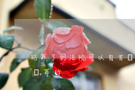 犯罪了到法院可以自首嗎(犯罪后自首可否減輕罪行)