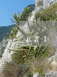犯罪了請(qǐng)律師有用嗎