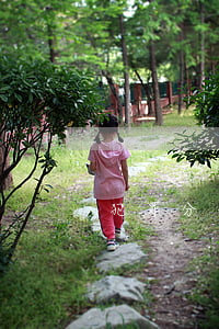 犯罪分子如何爭取免除死刑