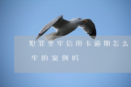 犯罪坐牢信用卡逾期怎么办(有信用卡逾期坐牢的案例吗)