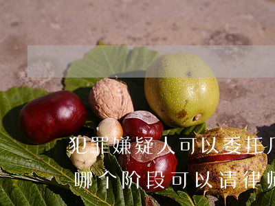 犯罪嫌疑人可以委托几个律师(犯罪嫌疑人在哪个阶段可以请律师)