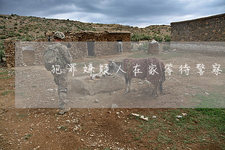 犯罪嫌疑人在家等待警察上门，算自首吗？
