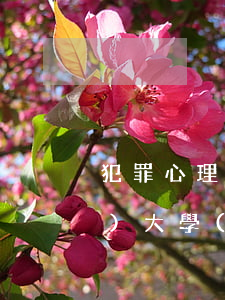 犯罪心理學(xué)(犯罪心理學(xué)大學(xué)排名)