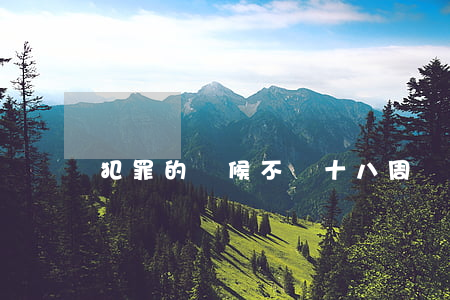 犯罪的時候不滿十八周歲的人可以適用死刑