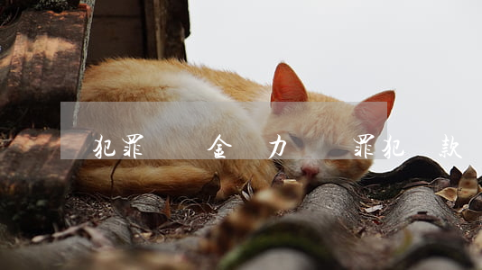 犯罪處罰金無力償還 罪犯罰款還不起怎么辦