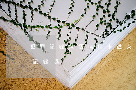 犯罪記錄包括信用卡透支嗎(欠信用卡算犯罪記錄嗎)
