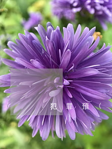 犯罪預(yù)備包括的形式有哪些