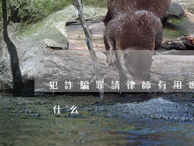 犯詐騙罪請律師有用嗎(詐騙罪找律師要注意什么)