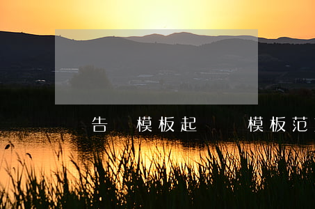 狀告書模板(起訴狀模板范文下載)