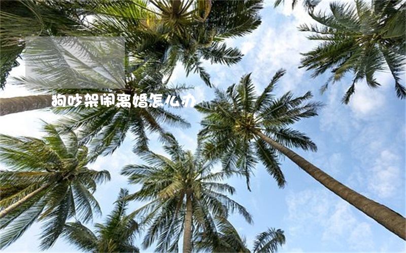 狗吵架闹离婚怎么办