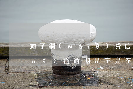 狗子網(wǎng)貸信用卡逾期(網(wǎng)貸逾期是不是不能辦信用卡)
