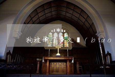 狗被偷了多久報(bào)警有效