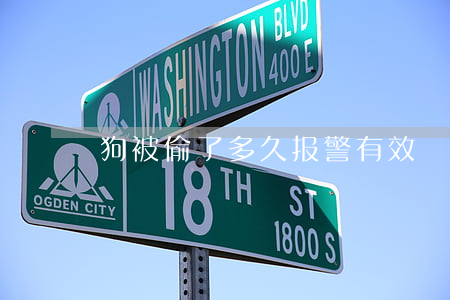 狗被偷了多久报警有效