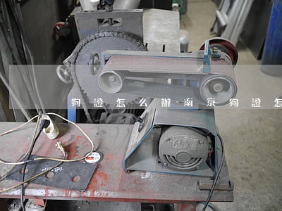 狗證怎么辦(南京狗證怎么辦)