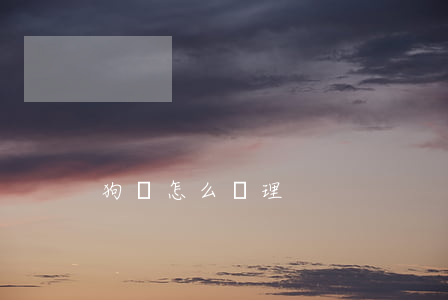 狗證怎么辦理