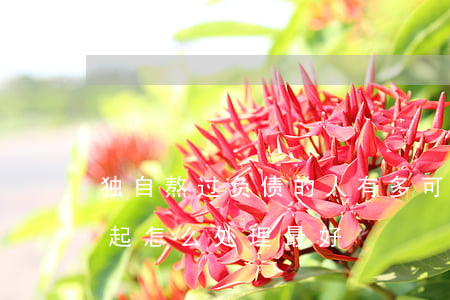 独自熬过负债的人有多可怕-负债太多还不起怎么处理最好
