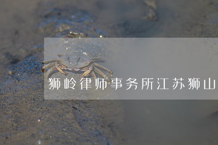 狮岭律师事务所(江苏狮山律师事务所怎么样)