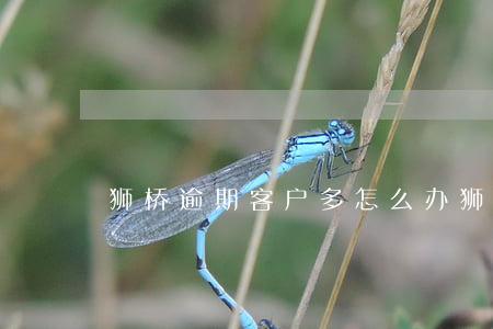 狮桥逾期客户多怎么办(狮桥贷款逾期一个月)