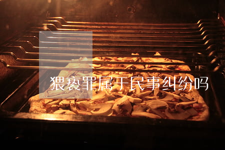 猥亵罪属于民事纠纷吗