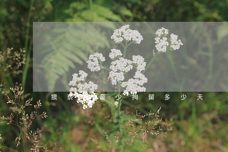 猥亵罪最少拘留多少天