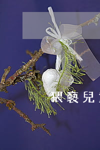 猥褻兒童律師(猥褻兒童律師)
