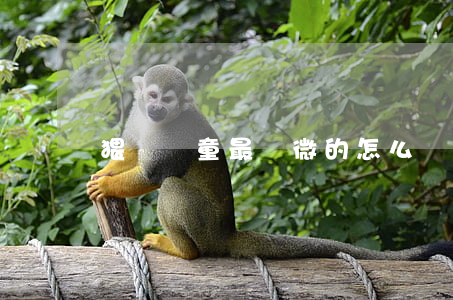 猥褻兒童最輕微的怎么處理