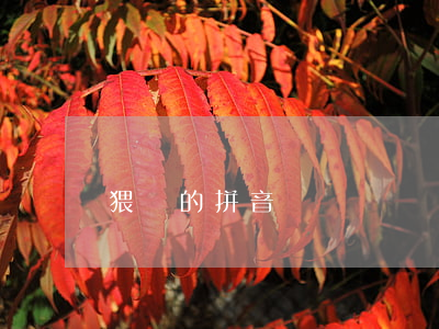 猥褻的拼音