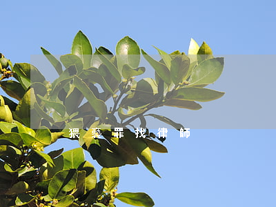 猥褻罪找律師