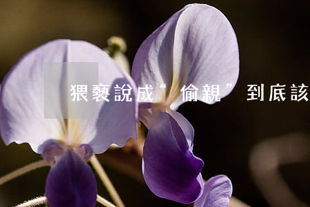 猥褻說成“偷親”：到底該如何界定？
