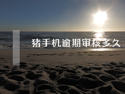 猪手机逾期审核多久