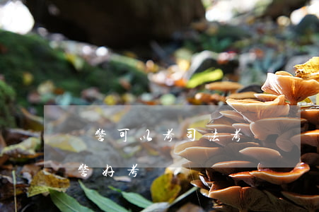 獄警可以考司法考試嗎(監(jiān)獄獄警好考嗎)