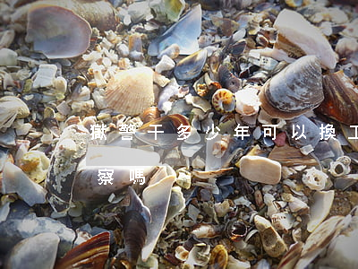 獄警干多少年可以換工作(獄警改革后還是警察嗎)