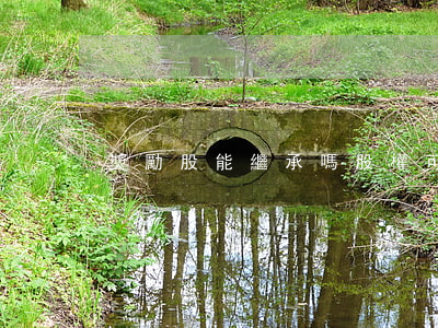 獎勵股能繼承嗎(股權可以繼承么)