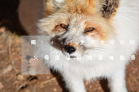 獨(dú)生子女可以繼承父母的宅基地嗎(父母遺留的宅基地能否可以繼承)
