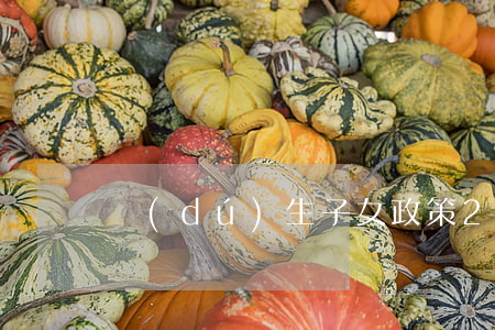 獨(dú)生子女政策2017