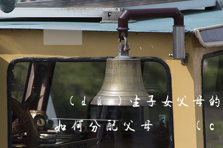 獨(dú)生子女父母的遺產(chǎn)如何分配(父母遺產(chǎn)去世子女配偶怎么分配)
