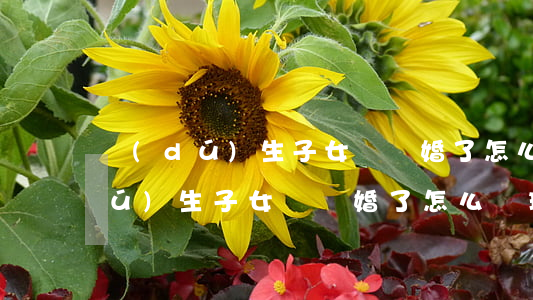 獨(dú)生子女證離婚了怎么處理(獨(dú)生子女證離婚了怎么處理)