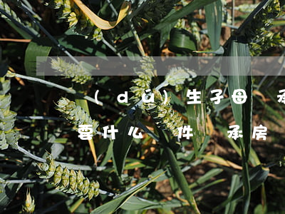 獨(dú)生孑母繼承房產(chǎn)需要什么條件(繼承房產(chǎn)一定要獨(dú)生子女證嗎)