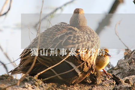 獨山刑事案件律師