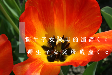 獨生子女父母的遺產(chǎn)如何分配(獨生子女父母遺產(chǎn)歸誰)