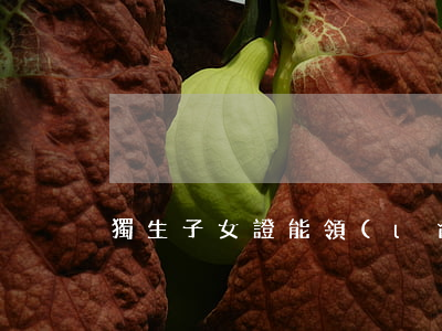 獨生子女證能領(lǐng)多少錢