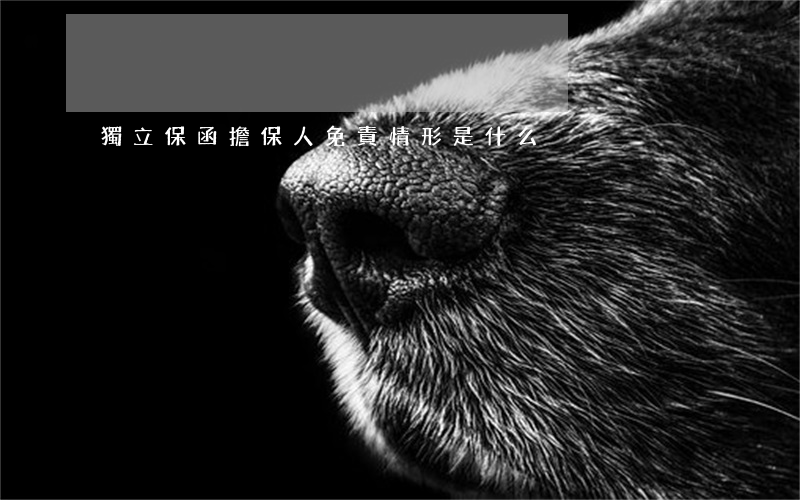 獨立保函擔保人免責情形是什么