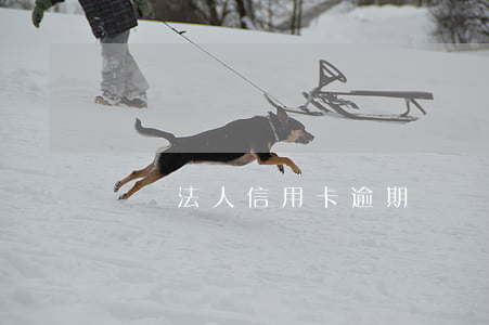 獨資法人信用卡逾期