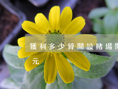 獲利多少算開設賭場(開設賭場獲利4000元)