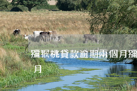獼猴桃貸款逾期兩個月(獼猴桃貸款逾期兩個月)