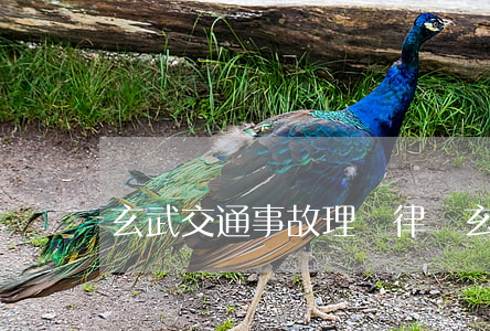 玄武交通事故理賠律師(玄武交通事故理賠律師)