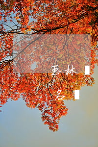 玉林開發(fā)商逾期交房(玉林爛尾樓盤名單)