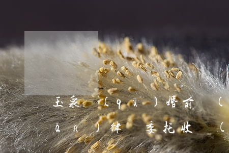 玉泉區(qū)婚前財(cái)產(chǎn)律師委托收費(fèi)