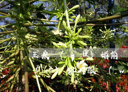 玉泉區(qū)婚前財(cái)產(chǎn)律師服務(wù)網(wǎng)站